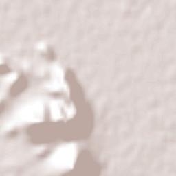 Pitiquito Terrain Map