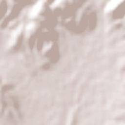 San Ignacio Terrain Map