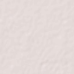 Bagha Purana Terrain Map