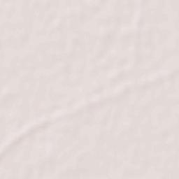 Badhni Kalan Terrain Map