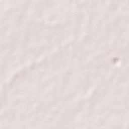 Faridkot Terrain Map