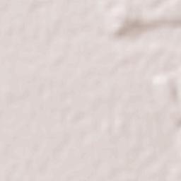 Ejido General Leandro Valle Terrain Map