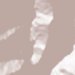 Rudraprayag Terrain Map