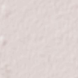 San Quintín Terrain Map