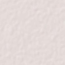 Basirpur Terrain Map