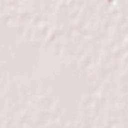 Kotkapura Terrain Map