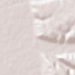 Lázaro Cárdenas Terrain Map