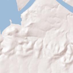 Cottonwood Shores Terrain Map