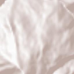 Joshimath Terrain Map