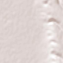 Colonia Nueva Era Terrain Map