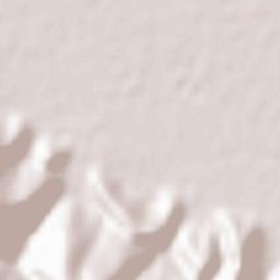 HasanAbad Terrain Map