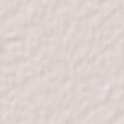 Nuevo Casas Grandes Terrain Map