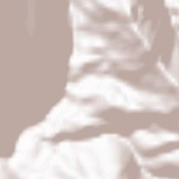 Pipalkoti Terrain Map