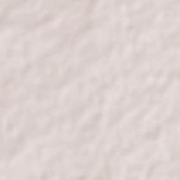 Casas Grandes Terrain Map