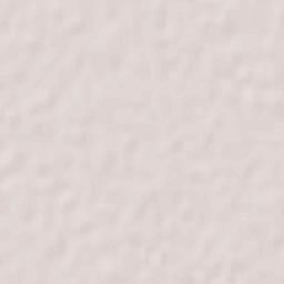 Rafsanjan Terrain Map