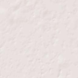 Suwannee County Terrain Map