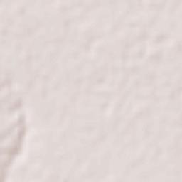 Kot Malik Barkhurdar Terrain Map