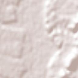 Villa Hidalgo Terrain Map