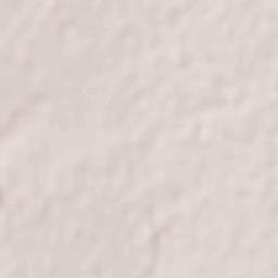 Ejido Benito Juárez Terrain Map