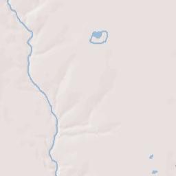 Roman Forest Terrain Map