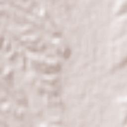 Los Hoyos Terrain Map