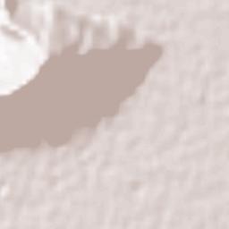 Koushkak Terrain Map