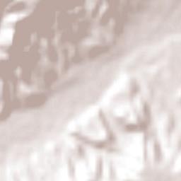 El Rosario de Arriba Terrain Map