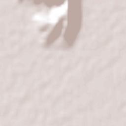 Rodrígo M. Quevedo Terrain Map