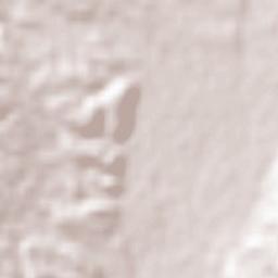 Huásabas Terrain Map