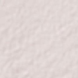 San Buenaventura Terrain Map