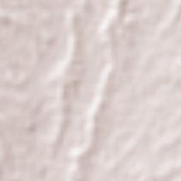 Moctezuma Terrain Map