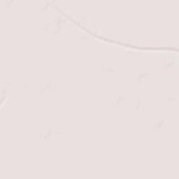 Labadieville Terrain Map