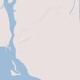 Des Allemands Terrain Map