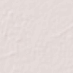 Padampur Terrain Map