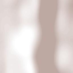 Coyame del Sotol Terrain Map