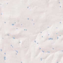 Flatonia Terrain Map