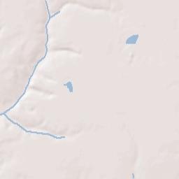 Gainesville Terrain Map