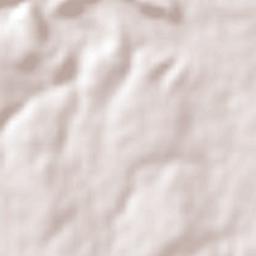 Ignacio Zaragoza Terrain Map