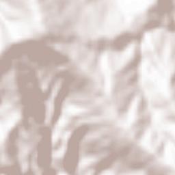 Ranikhet Terrain Map