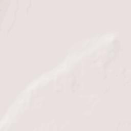 Manuel Ojinaga Terrain Map