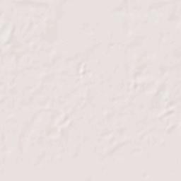 Manatee Road Terrain Map