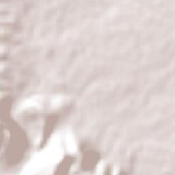 San Miguel de Horcasitas Terrain Map