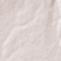 Las Varas (Estación Babícora) Terrain Map