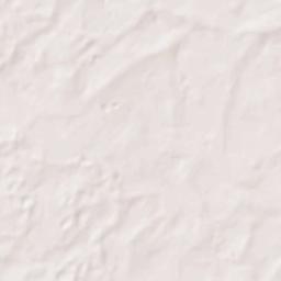 East Bronson Terrain Map