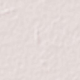 Gorakhpur Terrain Map