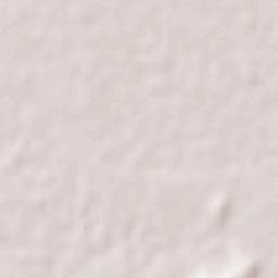 Nicolas Bravo Terrain Map