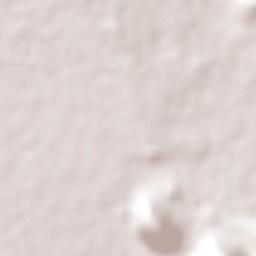 Gómez Farías Terrain Map