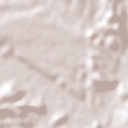 San Pedro de la Cueva Terrain Map