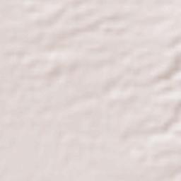 Borazjan Terrain Map