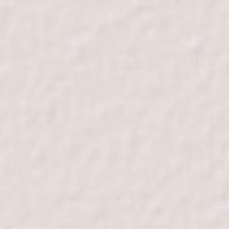 Ferozewala Terrain Map